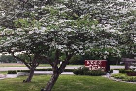 Photo of Alice Lorraine Care Center