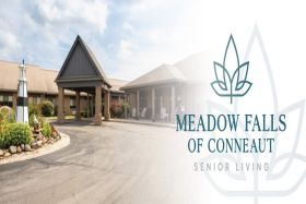Photo of Meadow Falls of Conneaut