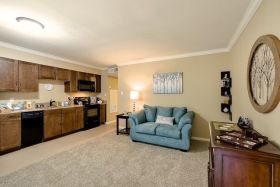 New Forest Haven Living Room